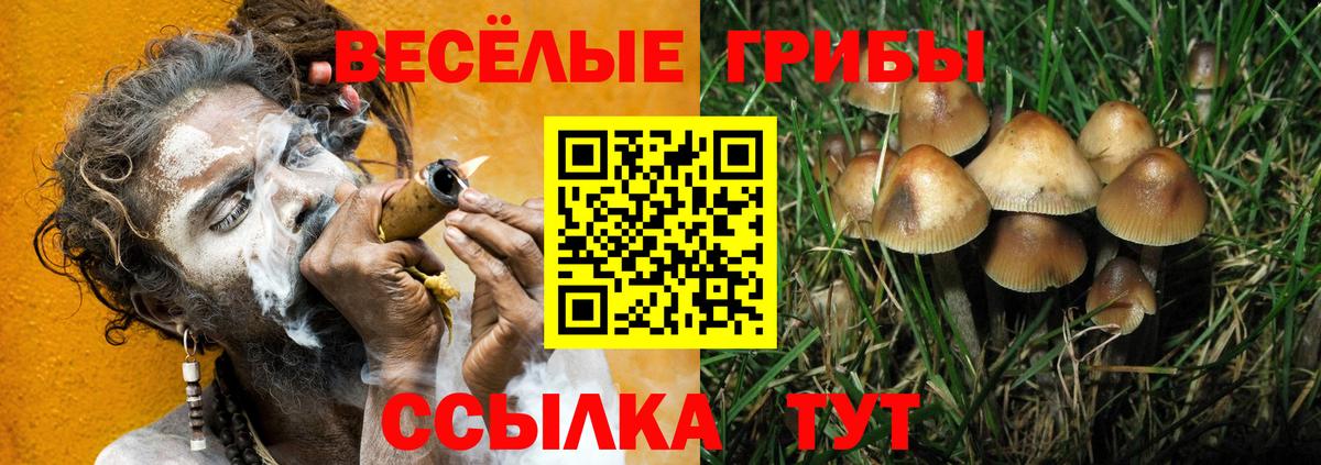 Галлюциногенные грибы прущие грибы Керчь